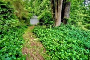 Emil-Warburg-Weg Bayreuth – Informationen zum Emil-Warburg-Weg in Bayreuth