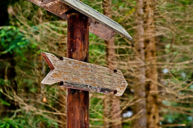 Kermeter Wilder Weg – Informationen zum Wanderweg im Kermeter