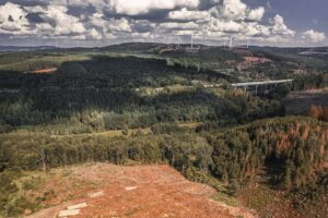 Wie hoch ist der Feldberg im Schwarzwald? Die Höhe des Feldbergs und interessante Fakten zum höchsten Berg des Schwarzwalds