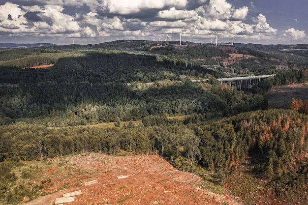 Wie hoch ist der Feldberg im Schwarzwald? Die Höhe des Feldbergs und interessante Fakten zum höchsten Berg des Schwarzwalds