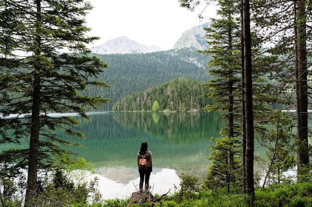 Wo Ist Der Schwarzwald Am Schönsten? Die schönsten Orte und Ausflugsziele im Schwarzwald